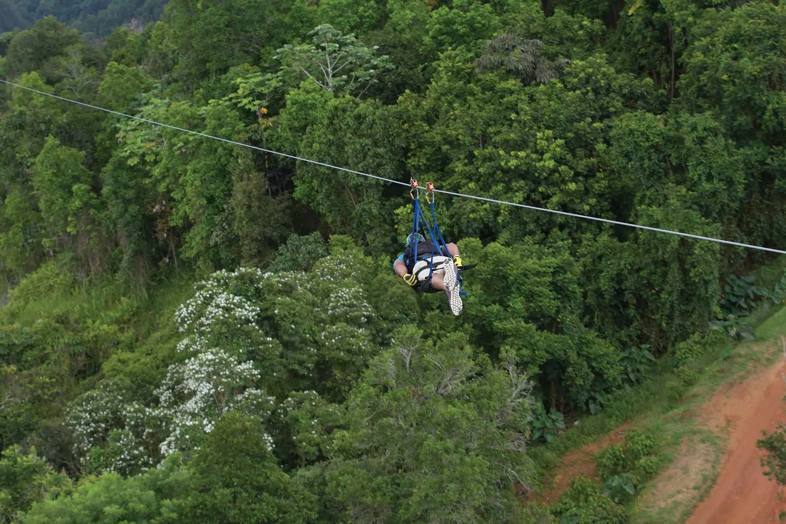 Nejdelší zip line na světě je v Portoriku