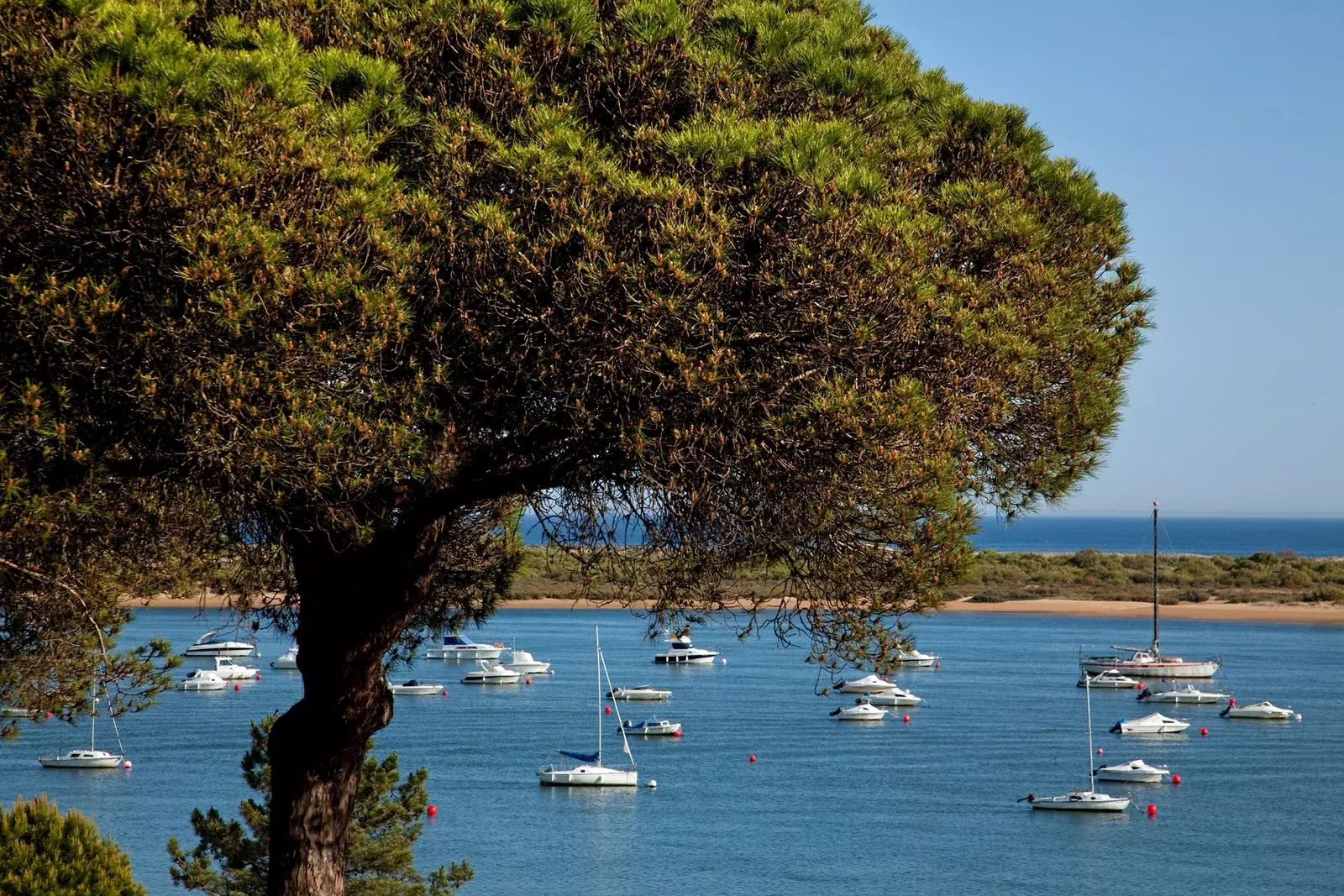 El Portil