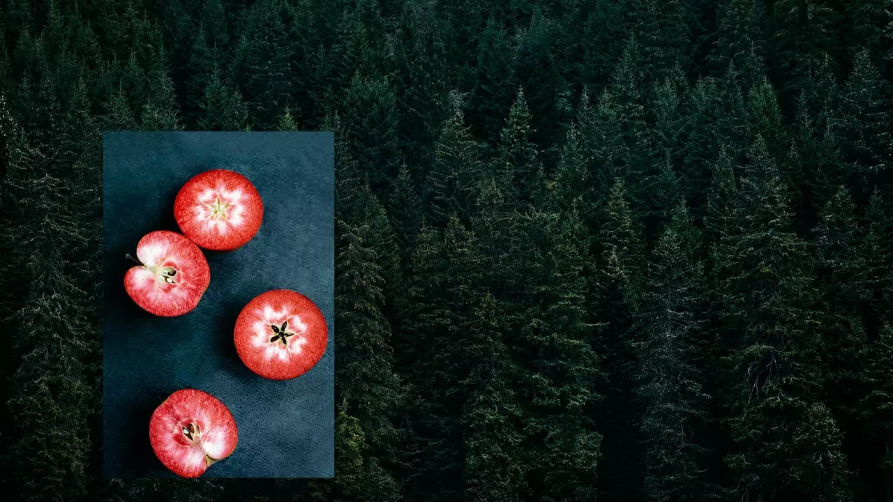 Der Schwarzwald ist nicht nur eine Torte