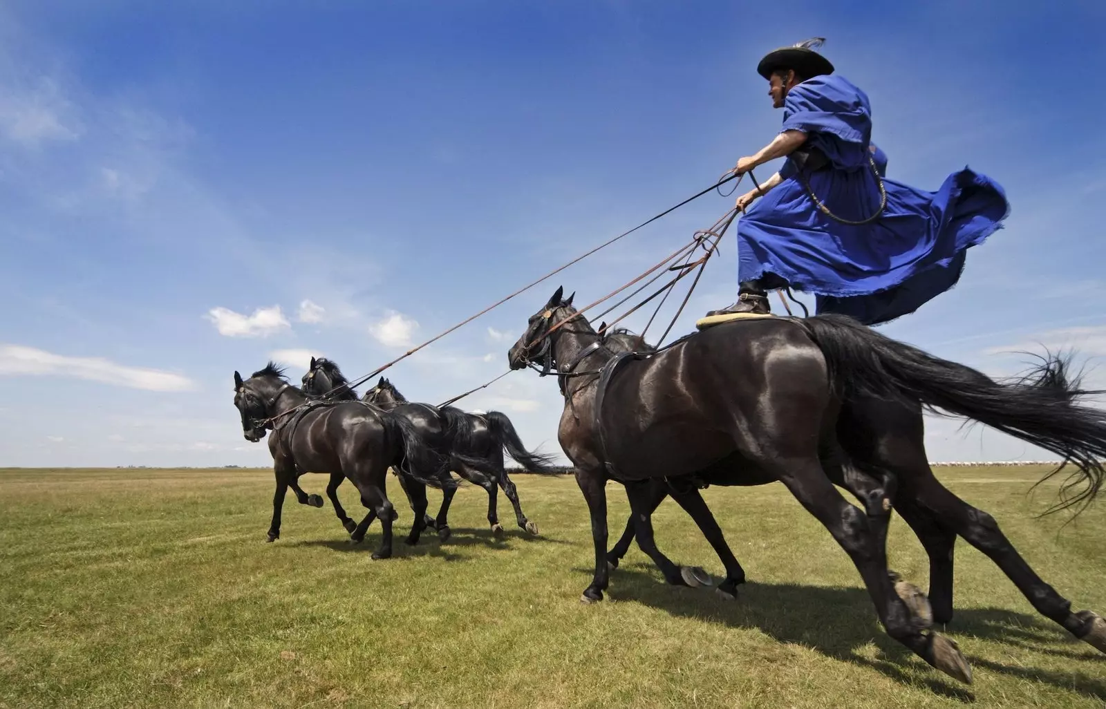 It is not one of the usual mirages of the puszta or Great Plain but a demonstration of the skill of the cowboys...