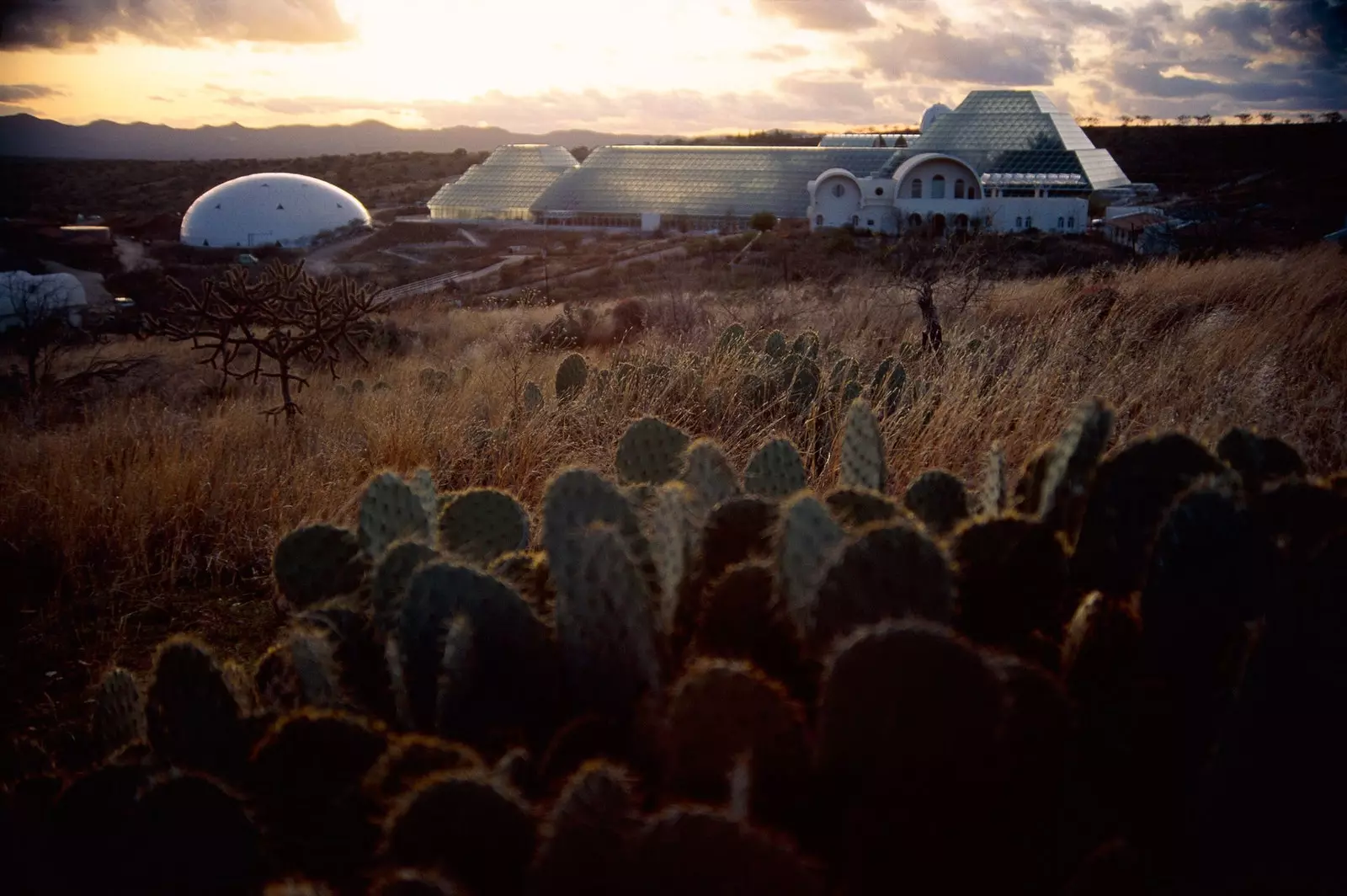 Terranautene i T.C. Boyle forteller den sanne historien om Biosphere 2