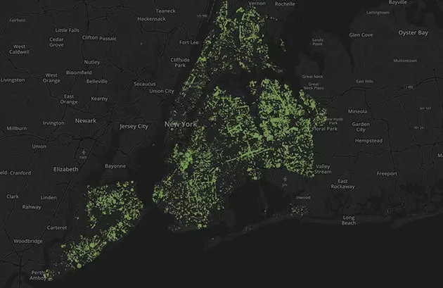 Mapují New York prostřednictvím stromů, které rostou v jeho ulicích