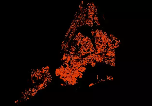 彼らは、通りに生える木々を通してニューヨークの地図を作成します