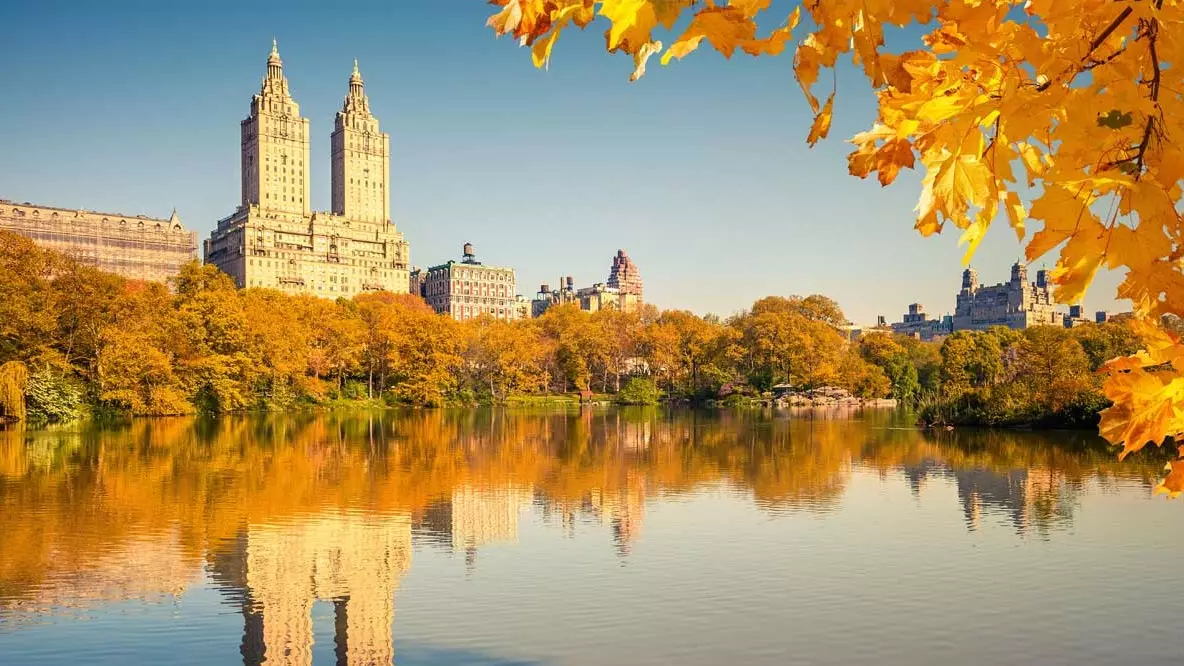 Dräizéng Grënn New York am Hierscht ze besichen