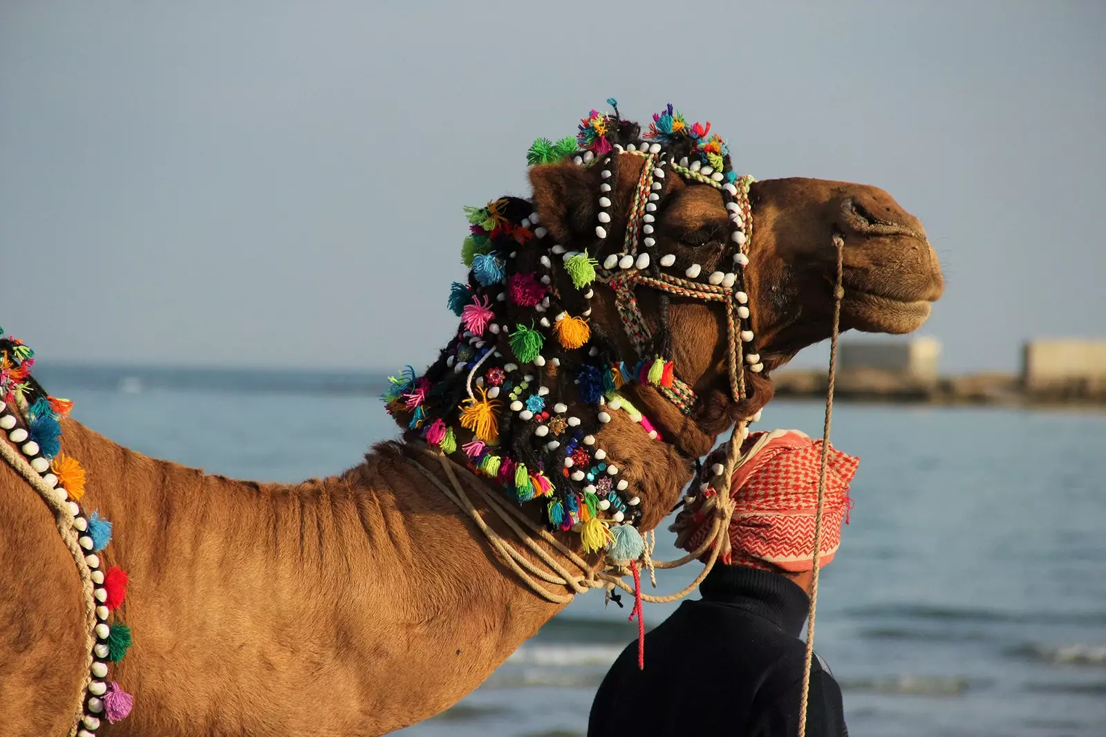 Qeshm Island