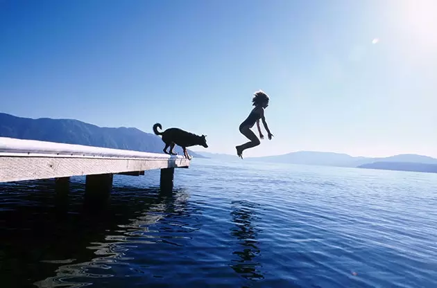 Pas sans mon animal de compagnie un monde fou d'animaux