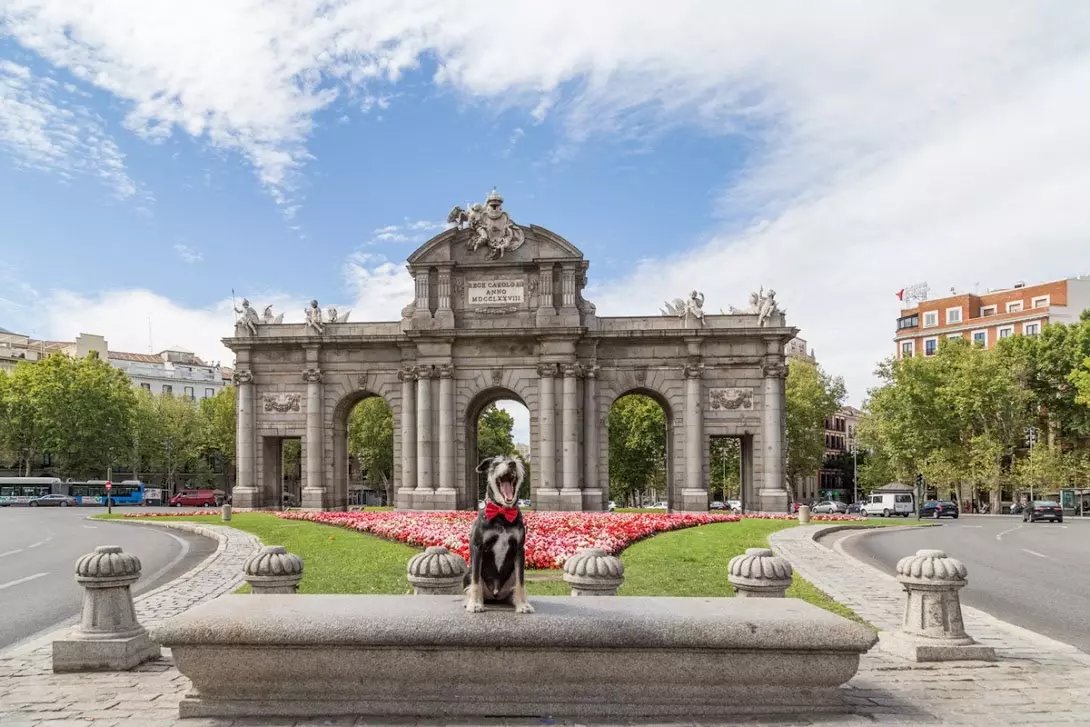 زميل في Puerta de Alcal