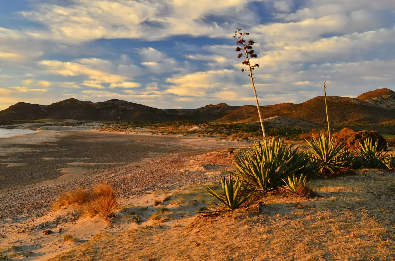 Almeria poeternas land