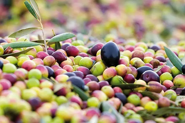 שמנים נווארים הם גם אוצר קטן ומעולה