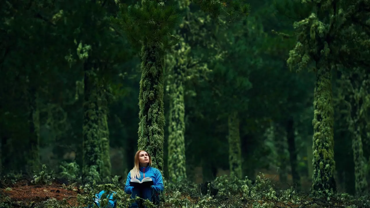 Zachráňme naše hory: takto sa Territorios Vivos postaví klimatickým zmenám