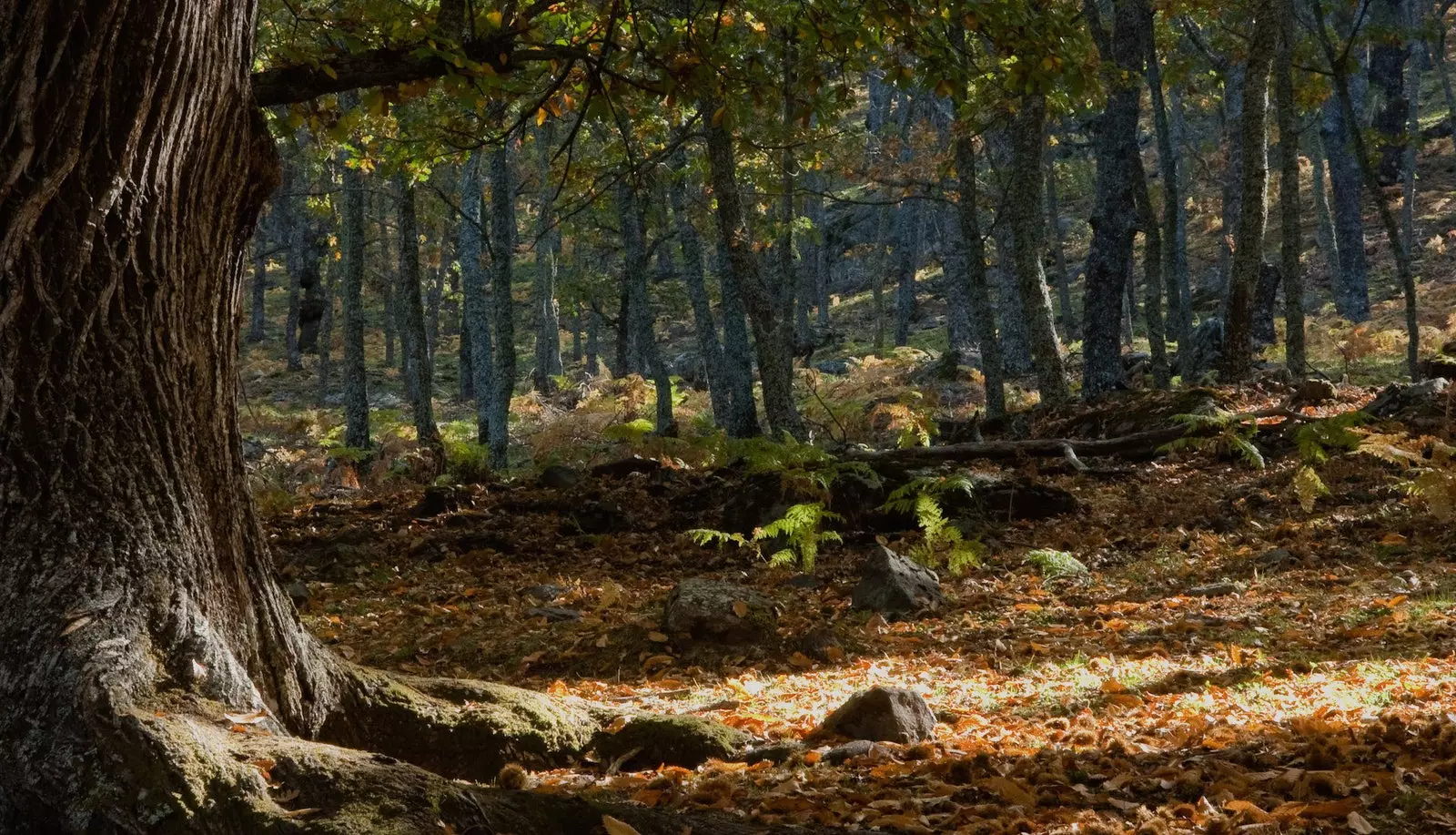 Živá území a potřeba rozhovorů o změně klimatu