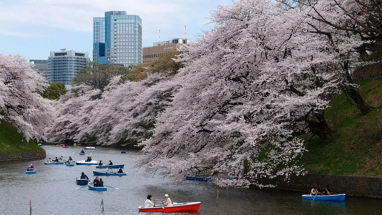 tokyo