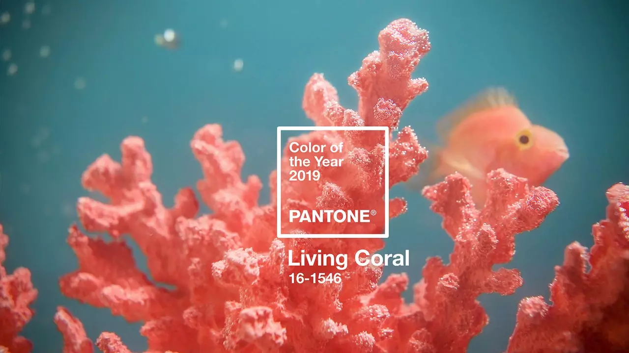 Pantone חושף את הצבע שישלוט ב-2019: Living Coral