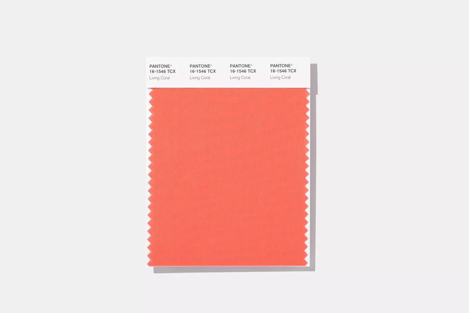 Farba roka 2019 Pantone