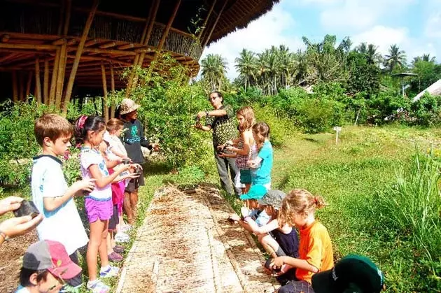 Kelas berkebun dan botani di luar negara