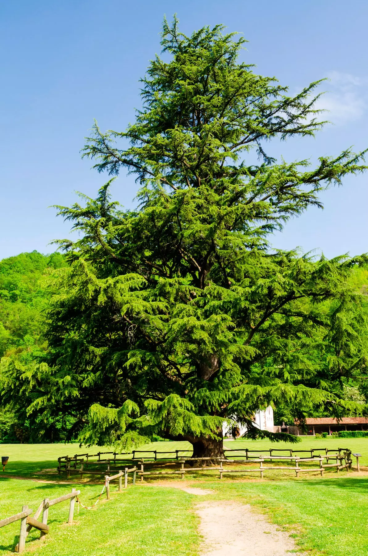 Park Naturali Señorío de Brtiz