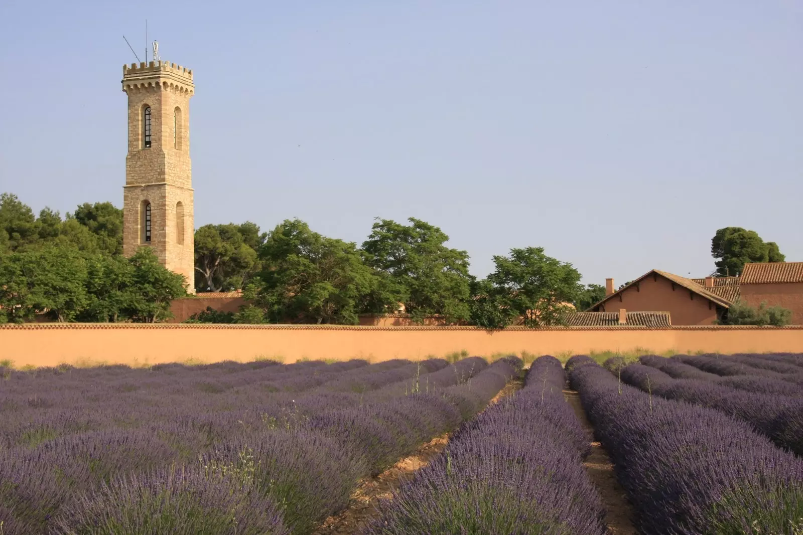 Dehesa de los Llanos is de enige boerderij in Europa die sinds de oprichting in bedrijf is.