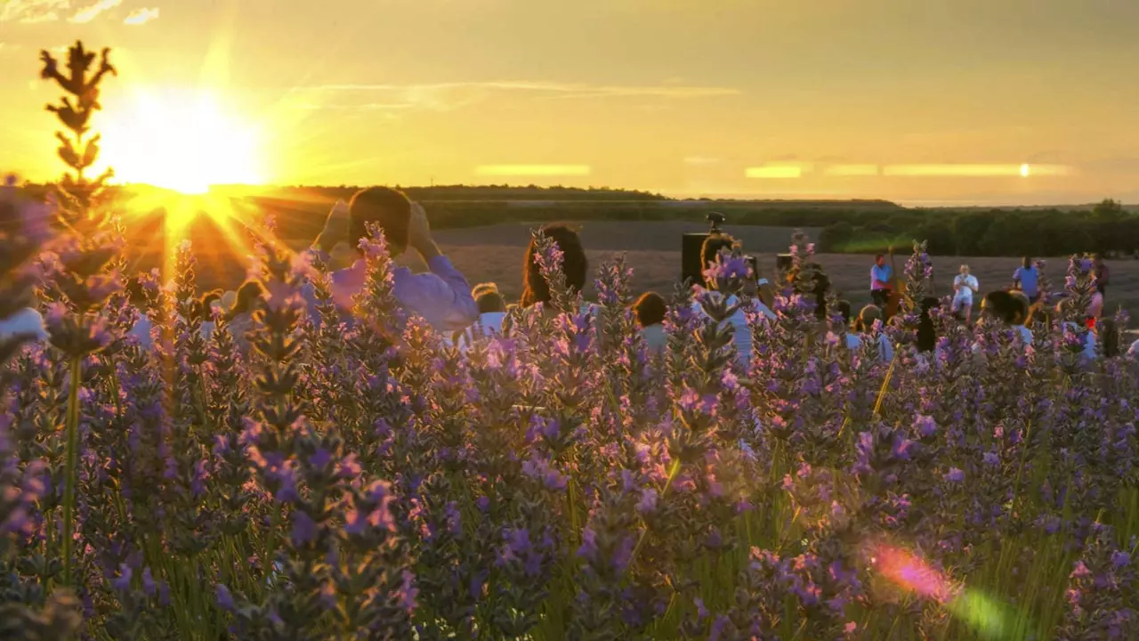 I biglietti per il Festival della Lavanda sono ora in vendita! La Cigala farà magia in natura