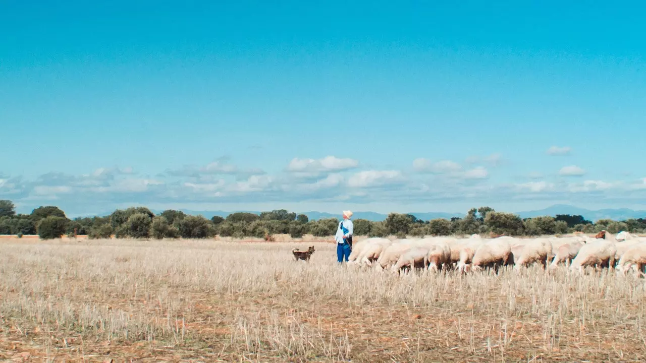 "Meseta", syvällinen muotokuva tyhjästä Espanjasta