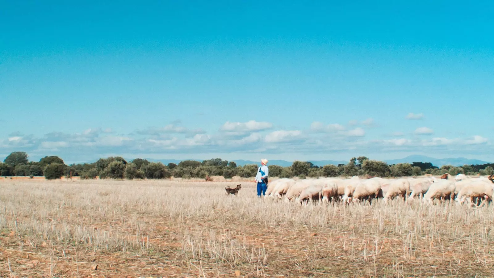 'Meseta' a profound portrait of empty Spain