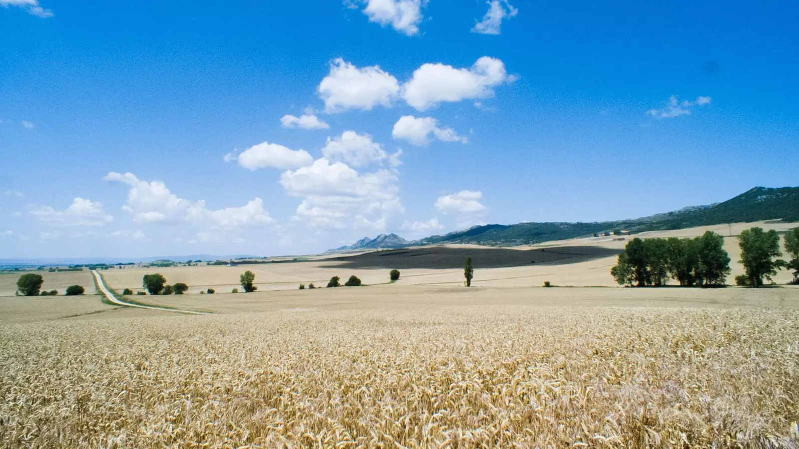 „Meseta“ – gilus tuščios Ispanijos portretas 20396_6