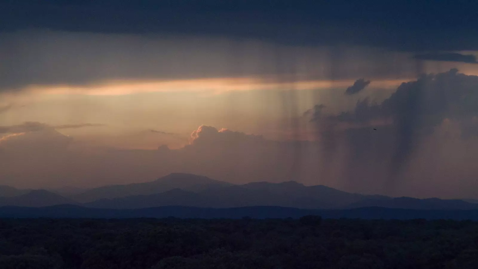 Documentaire 'Plateau'