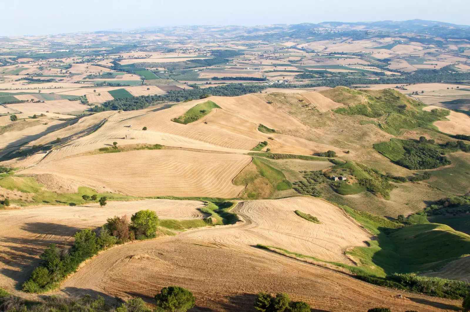 Guglionesi a Molise