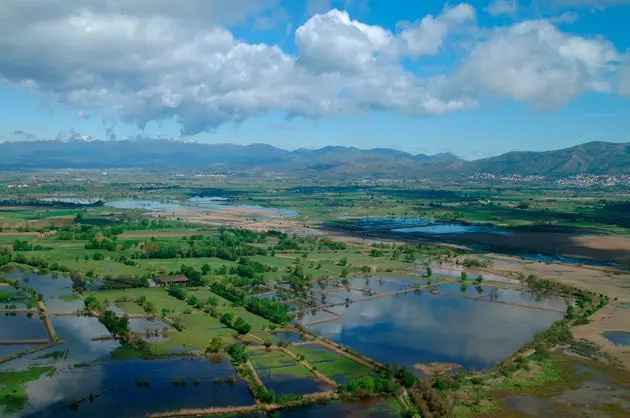 Aiguamolls de l'Emporda tabiiy bog'i