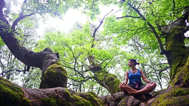 Forêts curatives à Gérone : la nature qui vous guérit