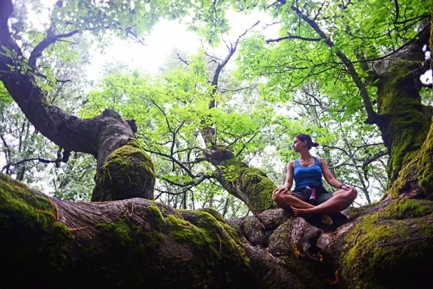 D'Natur déi Iech heelt