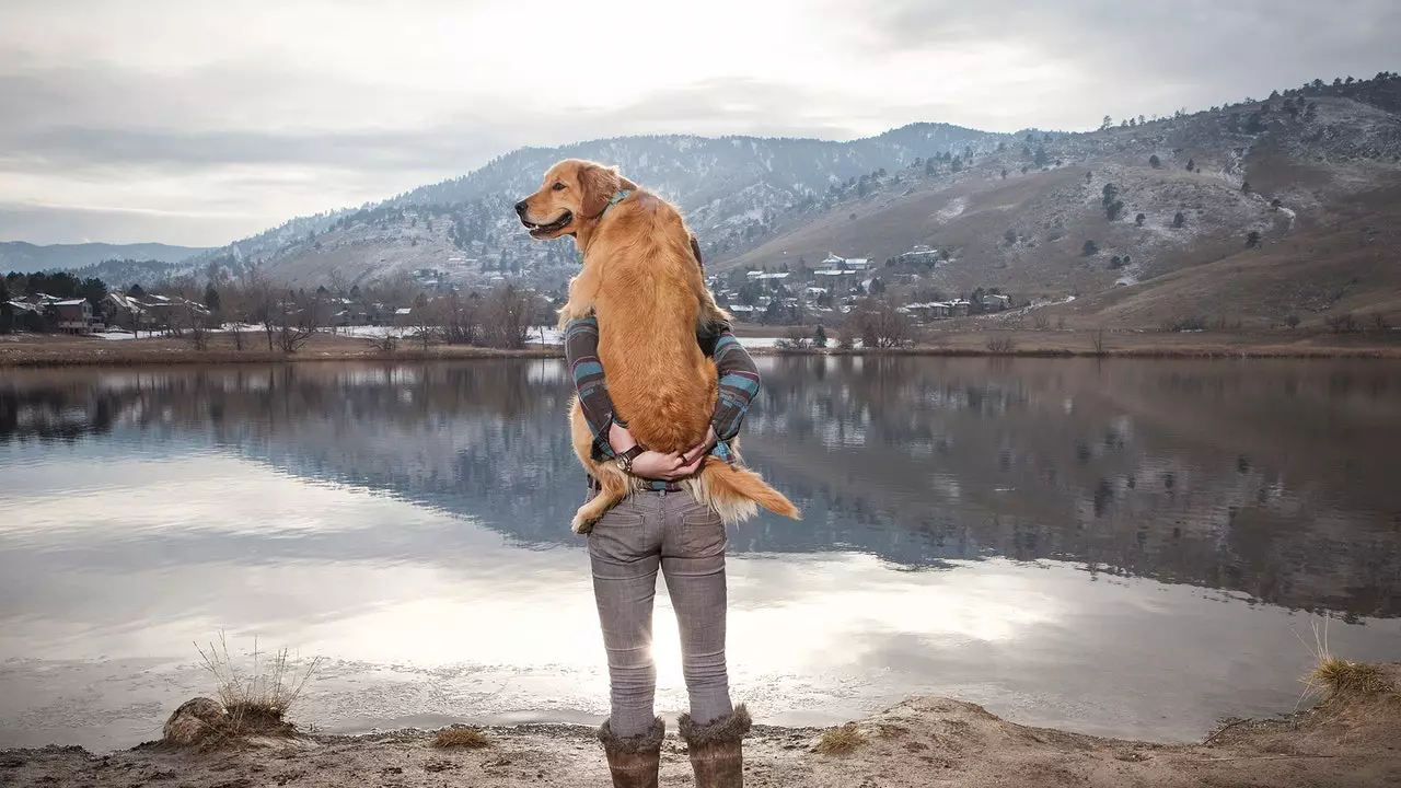 Com bebês, animais de estimação ou em cadeira de rodas: blogueiras e youtubers que ensinam a viajar de um jeito diferente