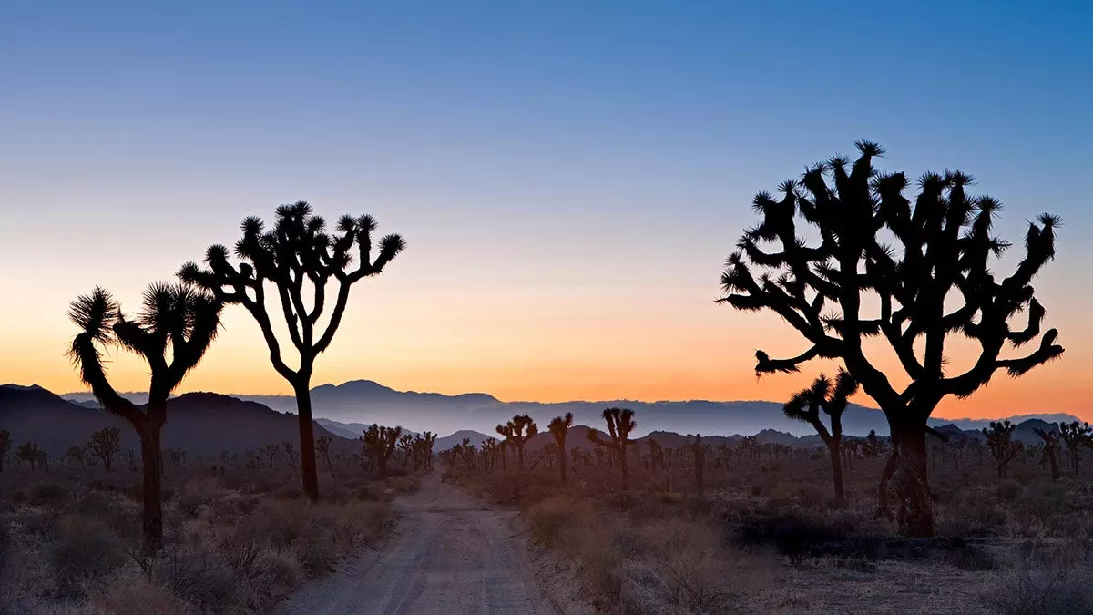 Ode til Mojave-ørkenen