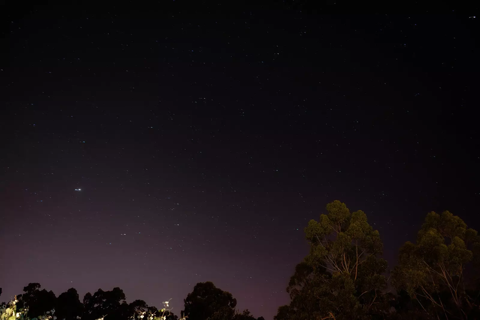 Le stelle dominano tutto ad Albari