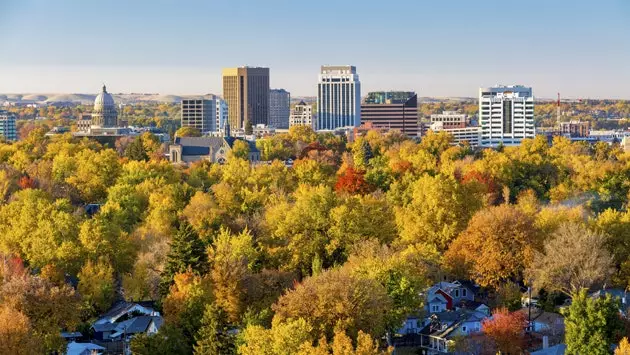 Boise capital d'Idaho