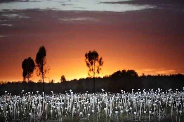 A carpet of lights illuminates Australia's Red Desert