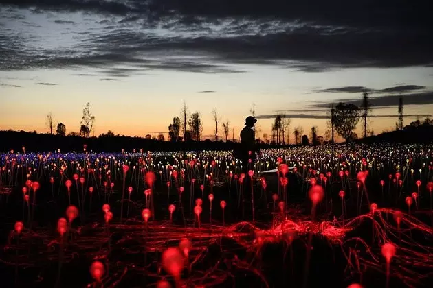 A carpet of lights illuminates Australia's Red Desert