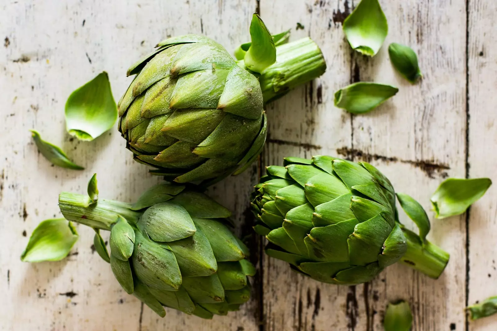 I carciofi il fiore perfetto.