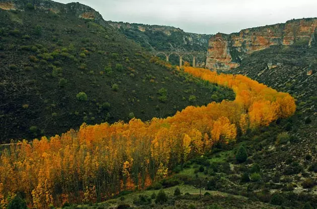 რიაზა