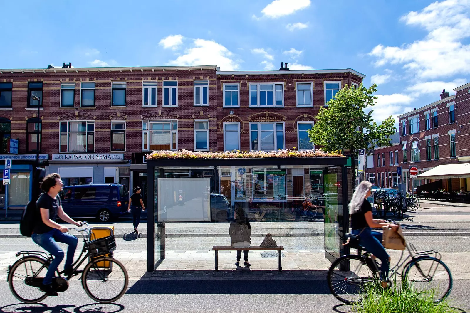 Utrecht kis méhkerteket telepít a buszmegállókban