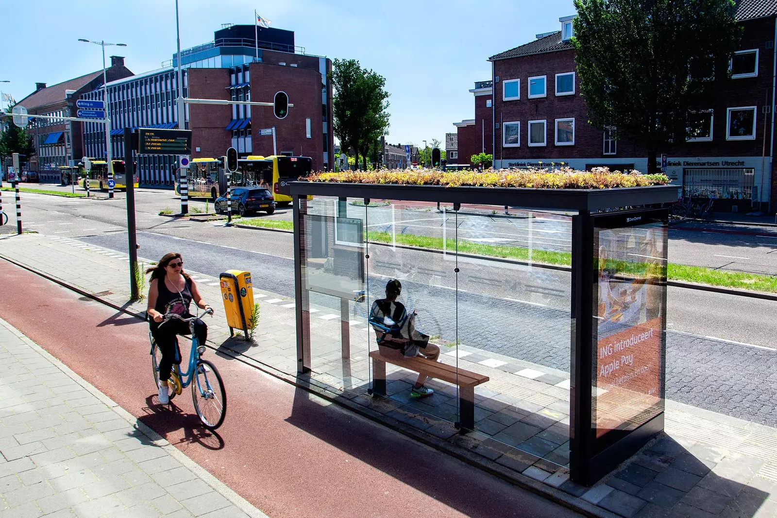 Utrecht zöldtetői