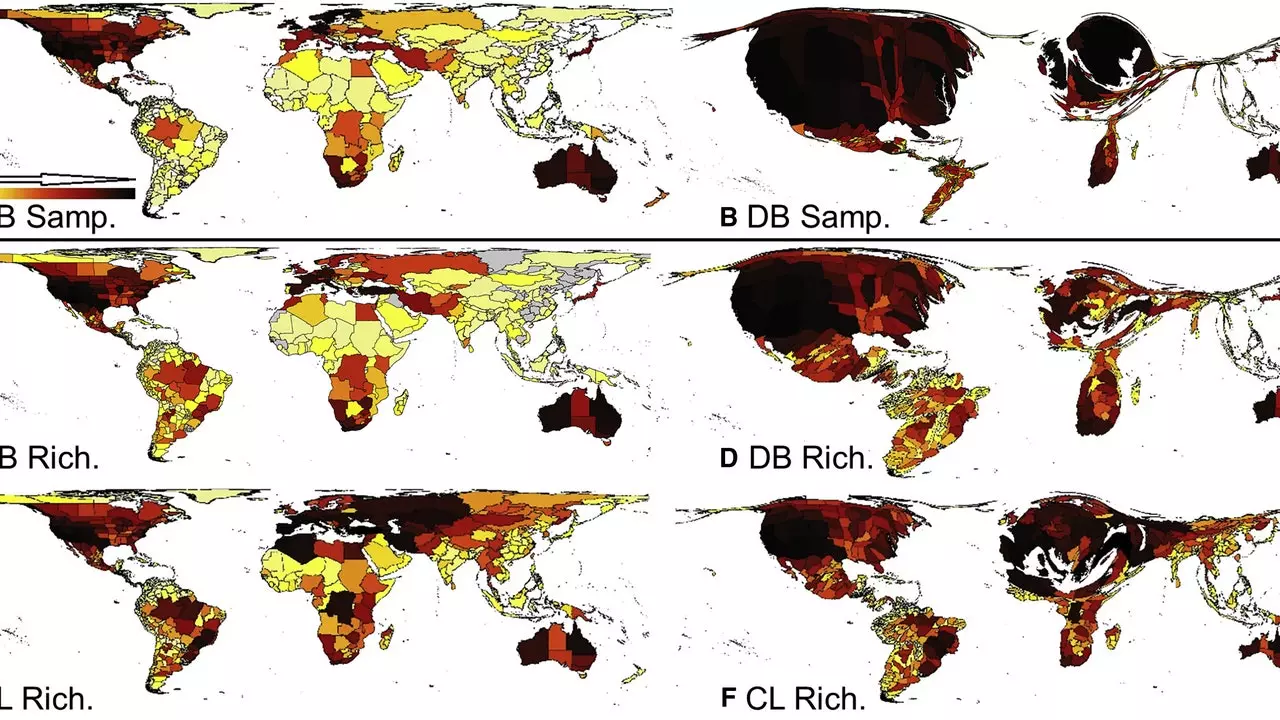 Nová (a fascinující) mapa odhaluje kuriózní svět včel