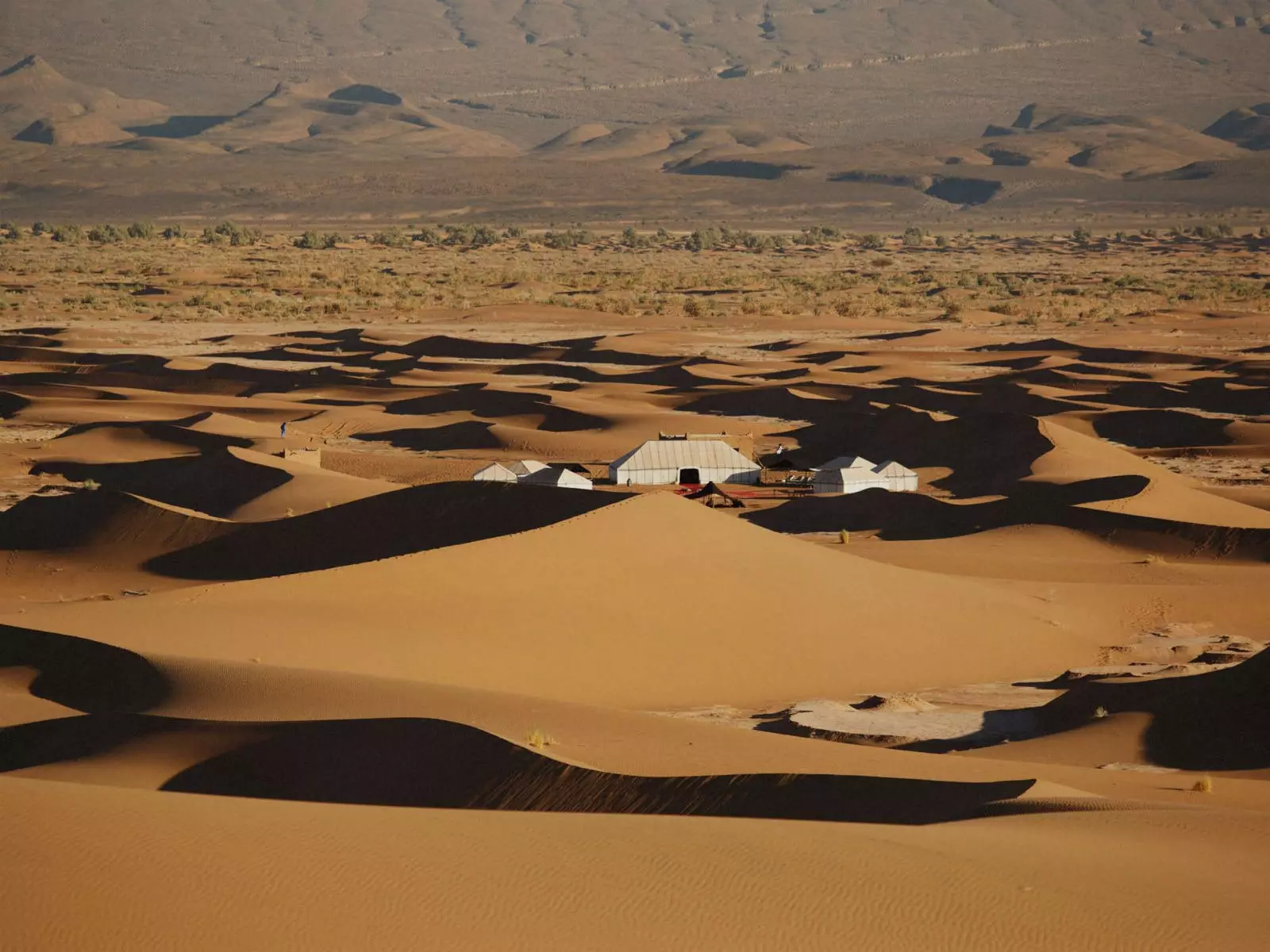 Un'oasi nel deserto.