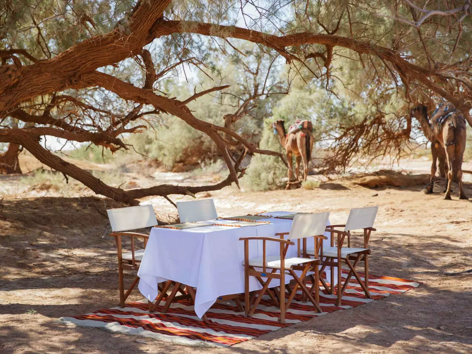 Assaggerai l'autentica cucina marocchina.