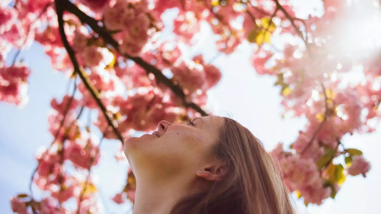 Vertel me welk teken je bent en ik vertel je je perfecte uitje in de lente van 2019