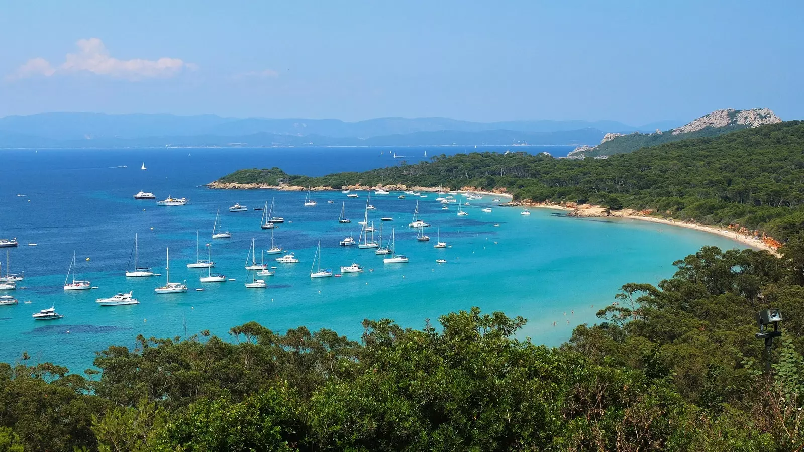 Pinien, Weinberge, lokale Küche, türkisblaues Wasser... Das ist der Strand von Porquerolles.