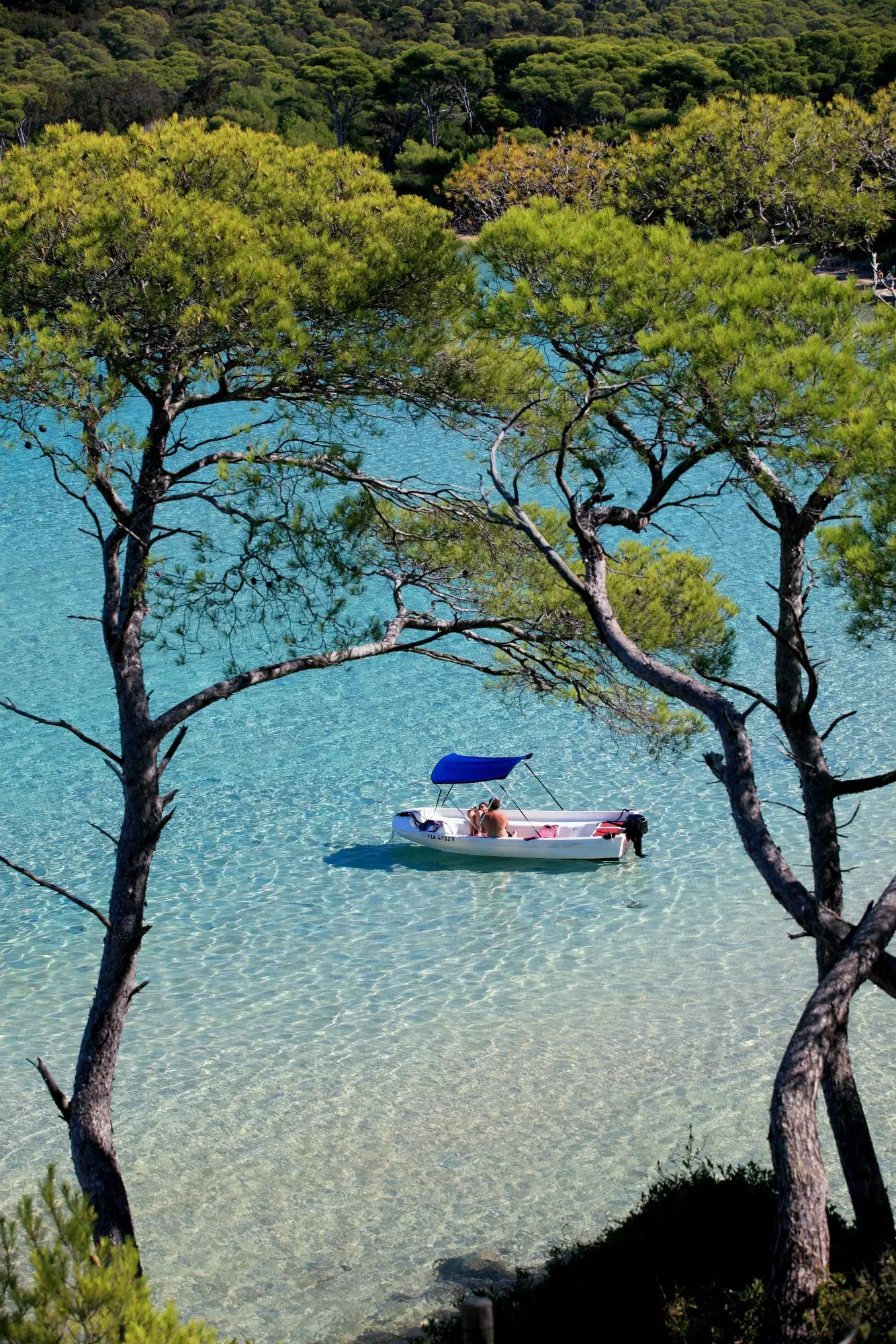 Porquerolles'deki Notre Dame'ın vahşi plajı.