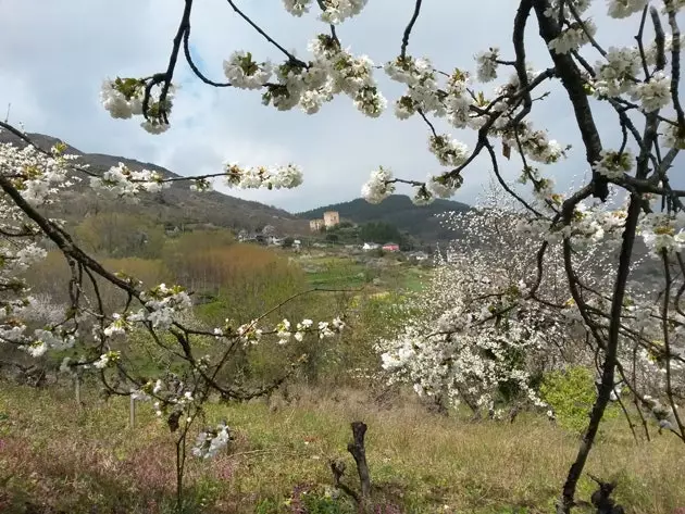 Radnica mesta Corullón