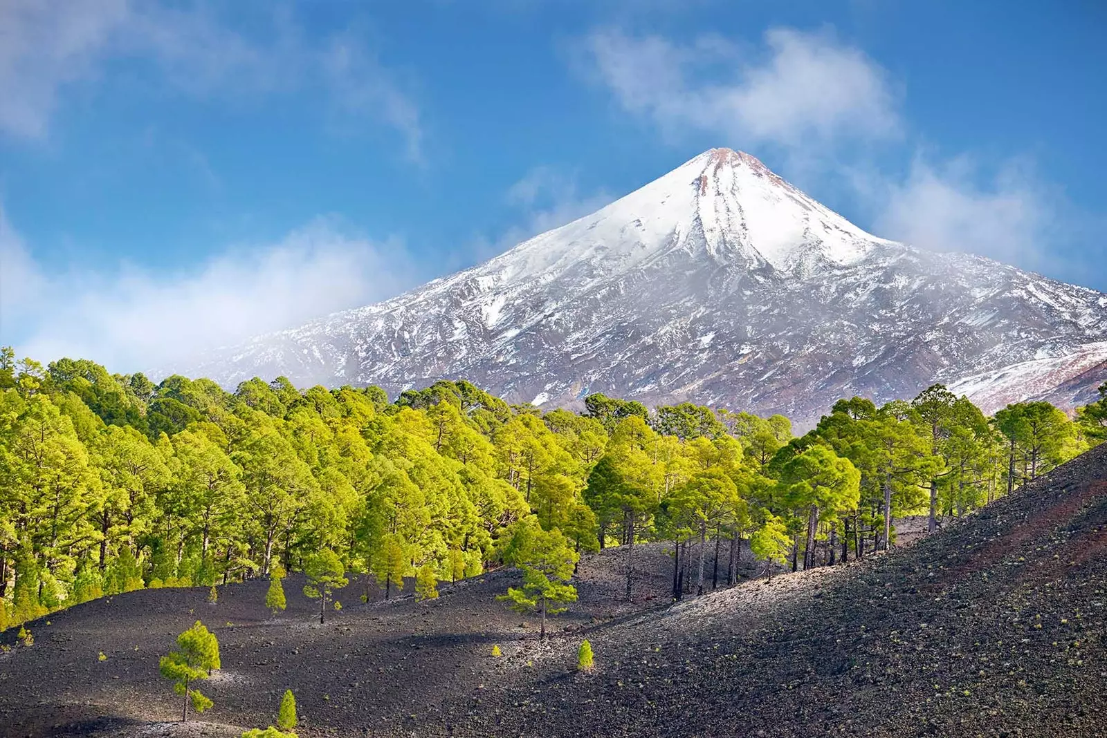 The Teide