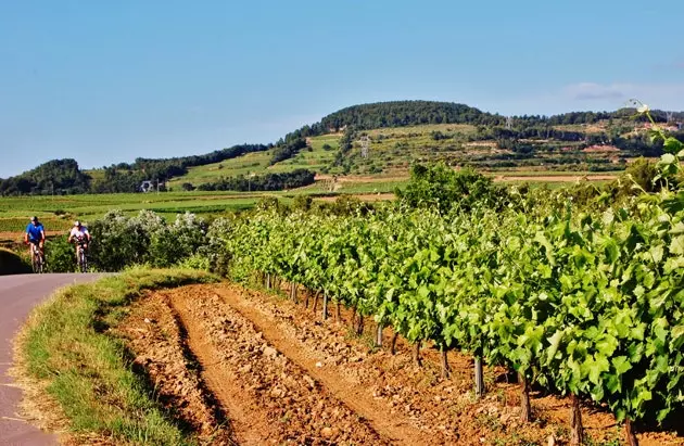 Modo de vida Penedes