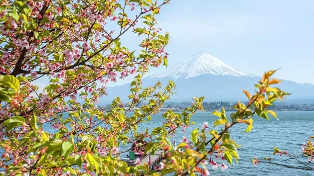 The iconic Mount Fuji